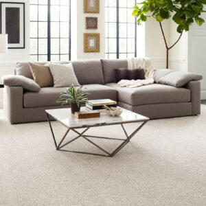 Carpet flooring | Central Alberta Flooring