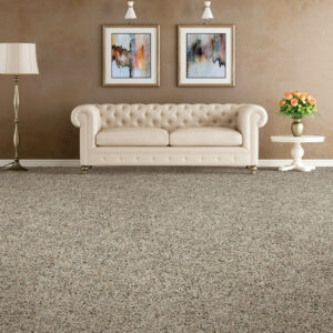 Soft carpet | Central Alberta Flooring